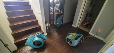 Basement Restoration Service in Chandler, AZ