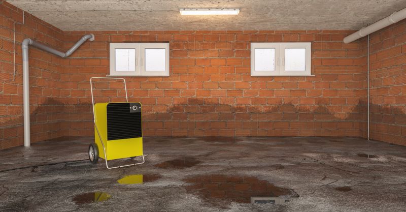 Basement Water Cleanup in Gilbert, AZ