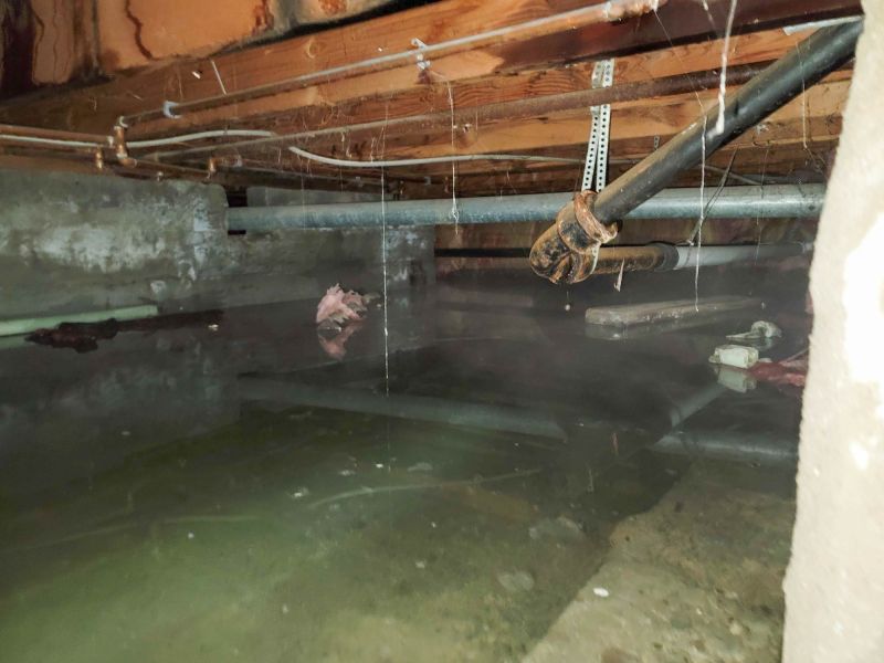 Basement Water Extraction in Santa Rosa, CA