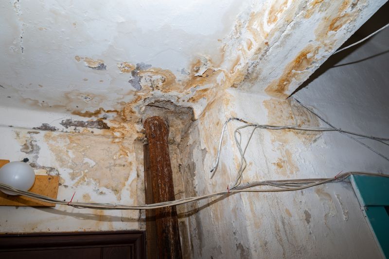 Water Damage Restoration in Wilmington, NC