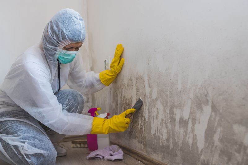 Mold Remediation Specialists